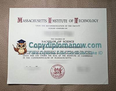 MIT Diploma