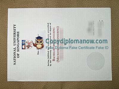 NUS Diploma