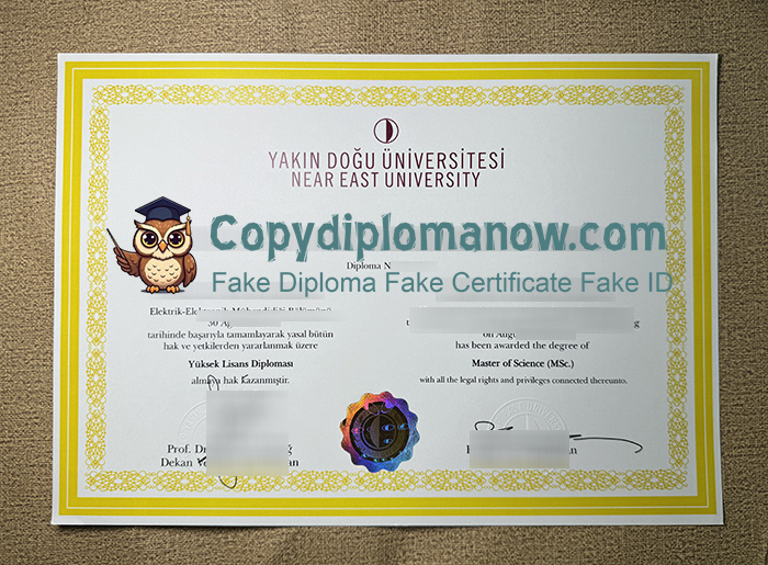 Near East University Diploma