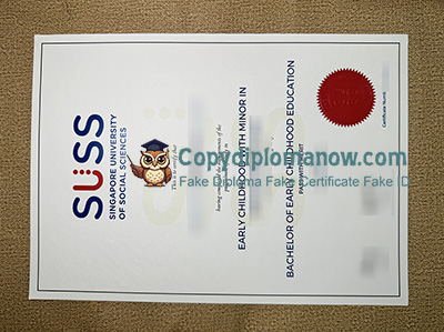 SUSS Diploma