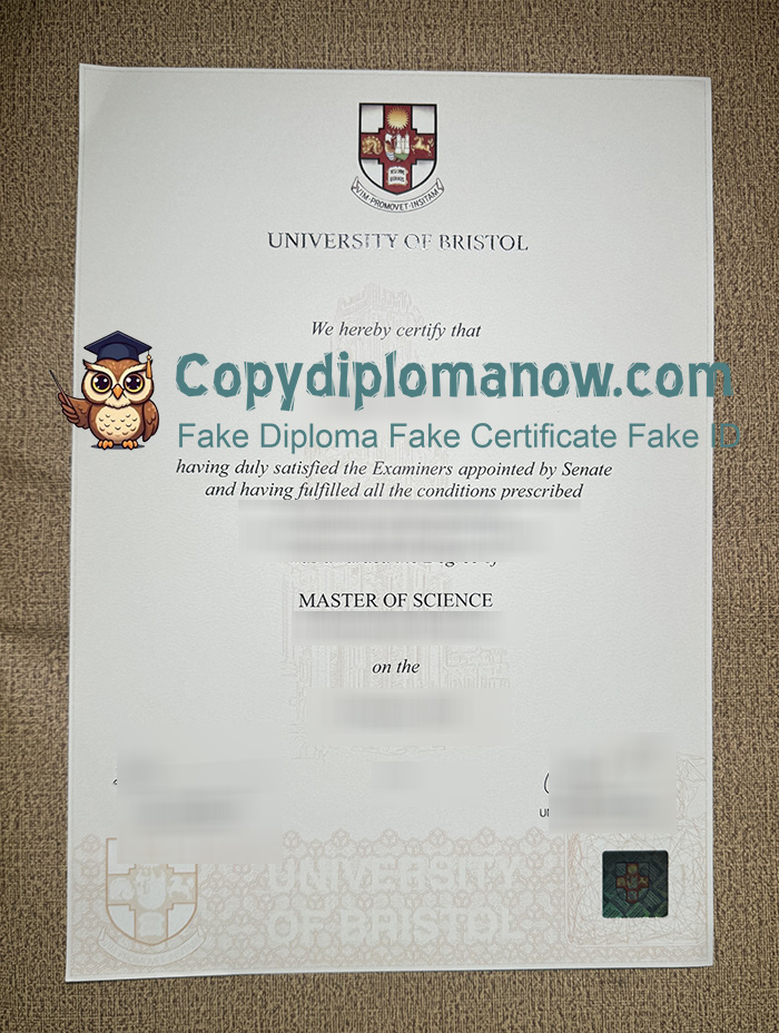 University of Bristol Degree