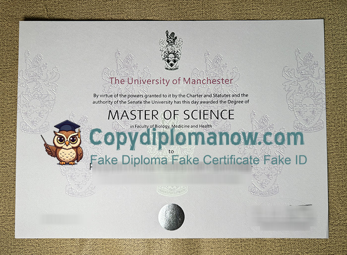 University of Manchester Degree