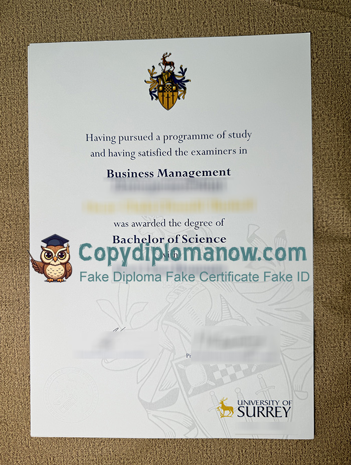 University of Surrey Degree