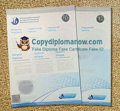Bachillerato Internacional Diploma