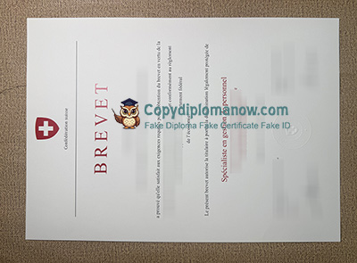 Confederation suisse Brevet Certificate