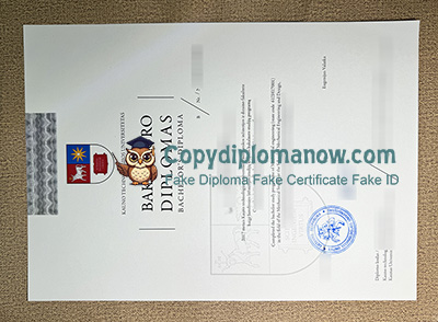 Kaunas University of Technology Diploma