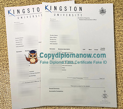 Kingston University Transcript