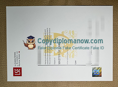 LSE Degree