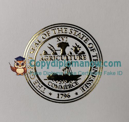 Tennessee Tech Diploma seal