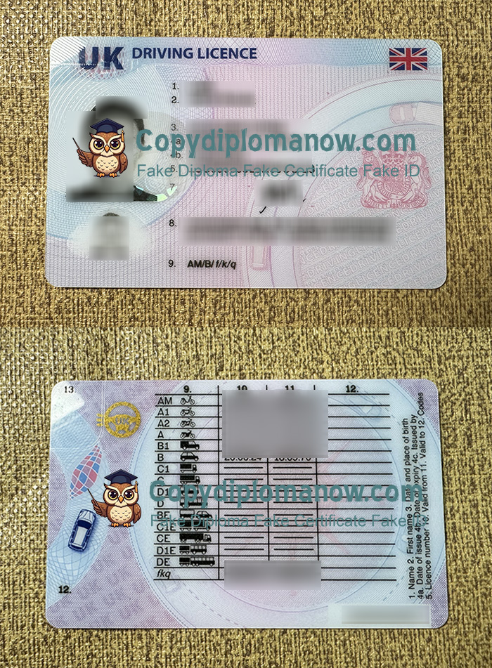 UK Driving License