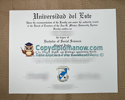 Universidad del Este Diploma