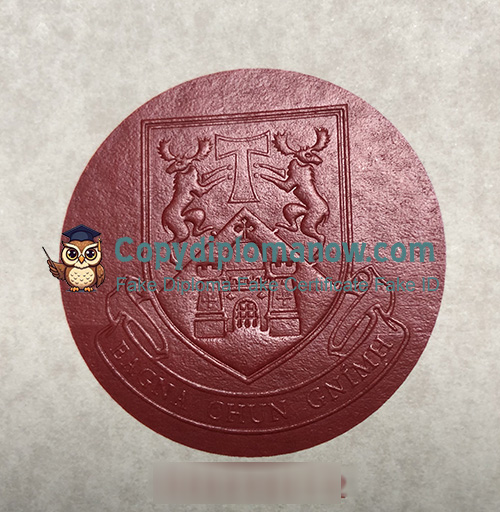 University of Limerick Diploma seal