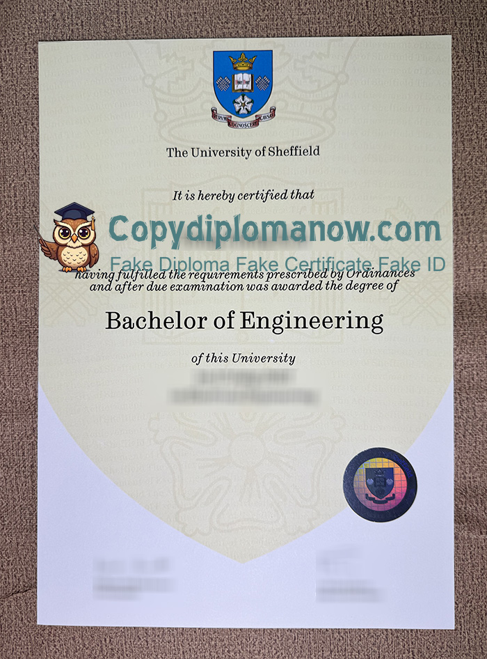 University of Sheffield Degree