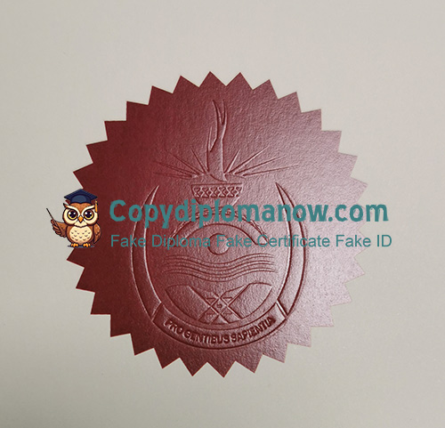 UNISA Diploma seal