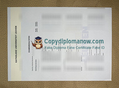 KU Leuven Transcript