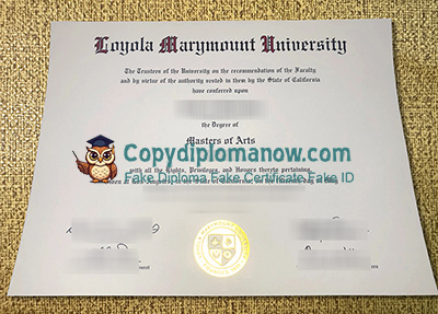 LMU Diploma
