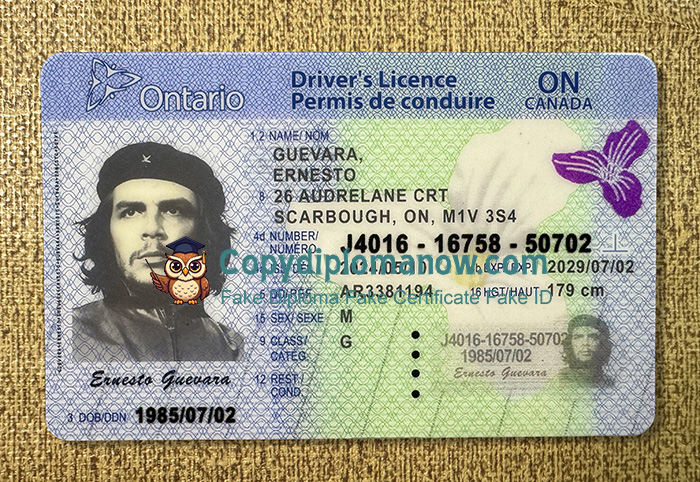 Ontario Driver's Licence, Canada Ontario ID