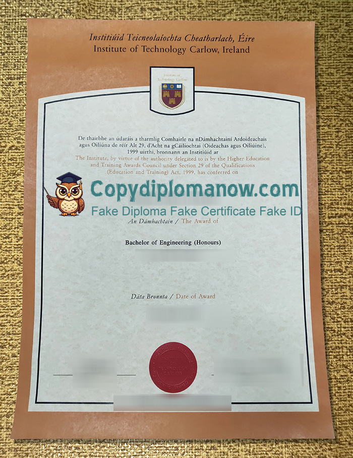 IT Carlow Diploma