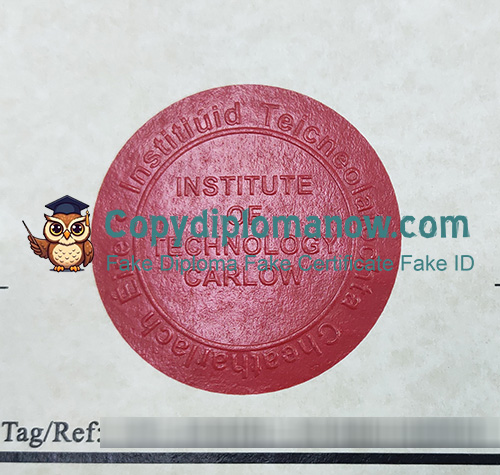 IT Carlow Diploma