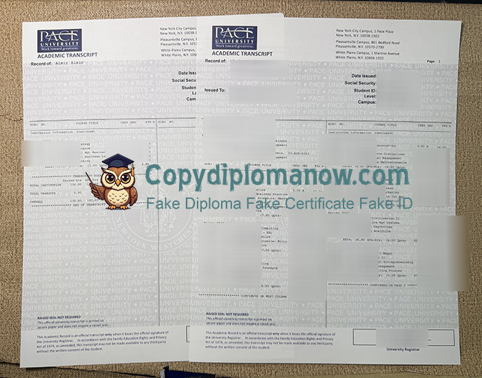 Pace University Transcript