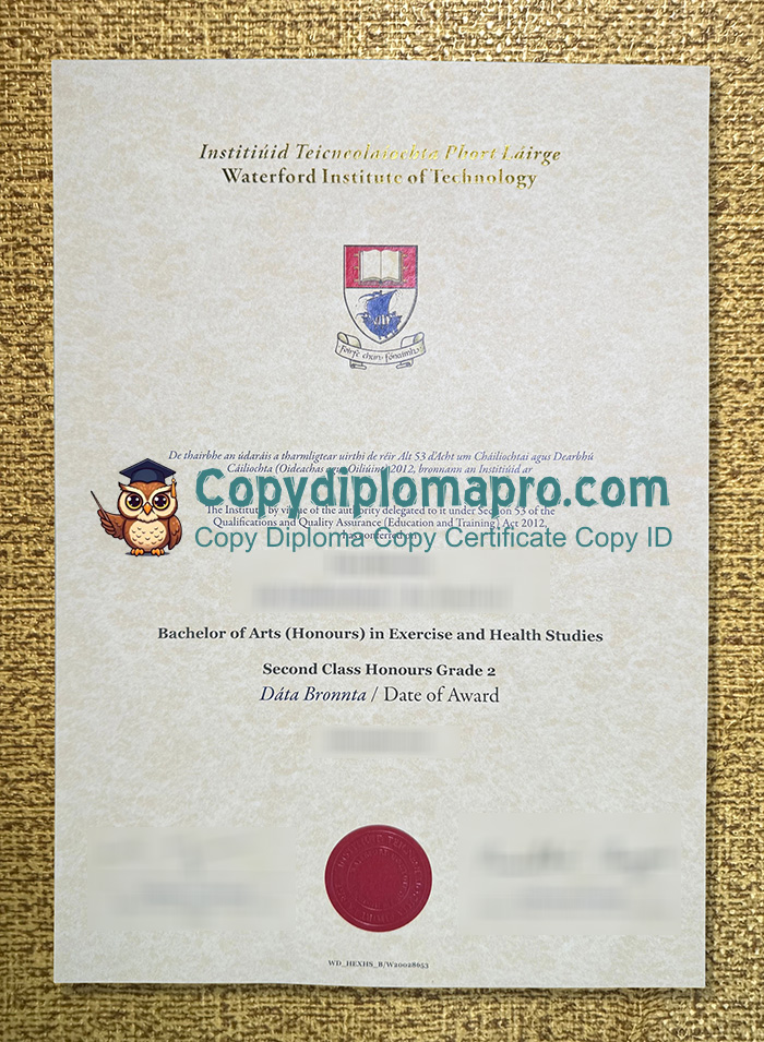 Waterford Institute of Technology Diploma, WIT Diploma