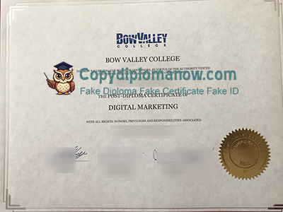 Bow Valley College Diploma