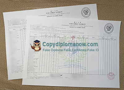 FJU Transcript
