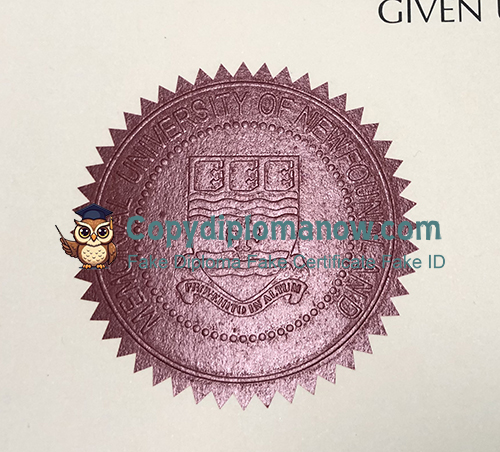 MUN Diploma seal