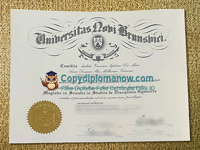 UNB Diploma