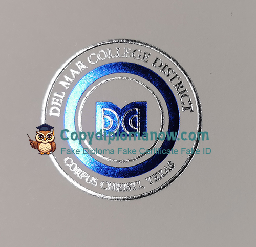 DMC Diploma seal