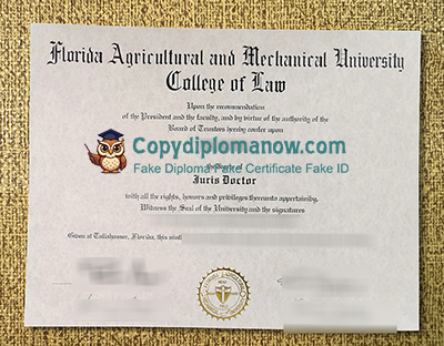 FAMU Diploma