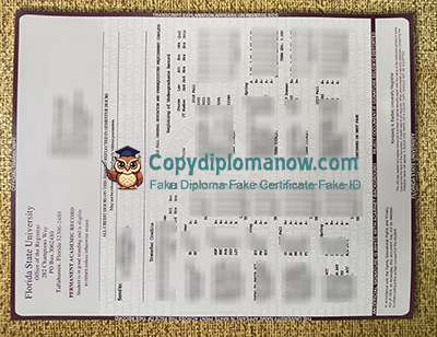 Florida State University Transcript
