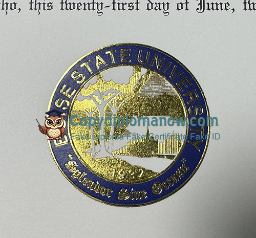 Boise State University Diploma seal