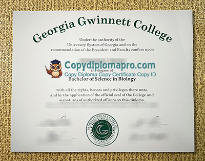 Georgia Gwinnett College Diploma