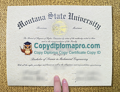Montana State University Diploma