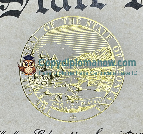 Montana State University Diploma seal