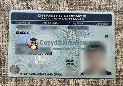 South Australia Driver's License, South Australia ID