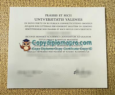 Universitas Yalensis Diploma