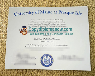 UMPI Diploma