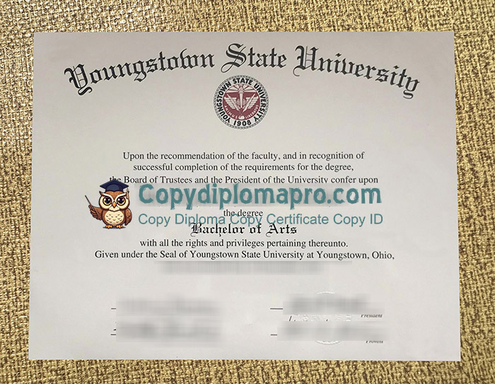 Youngstown State University Diploma, YSU Diploma