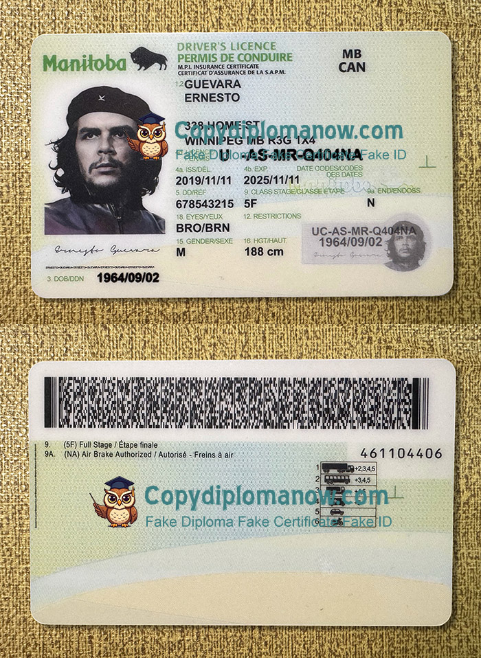 Manitoba Driver's licence, Manitoba ID