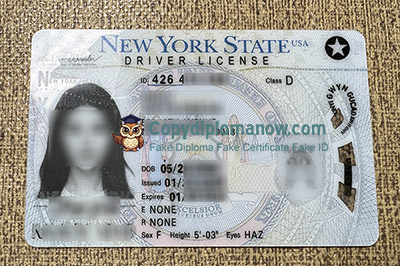 New York State Driver license