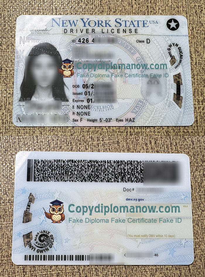 New York State ID, New York State Driver license