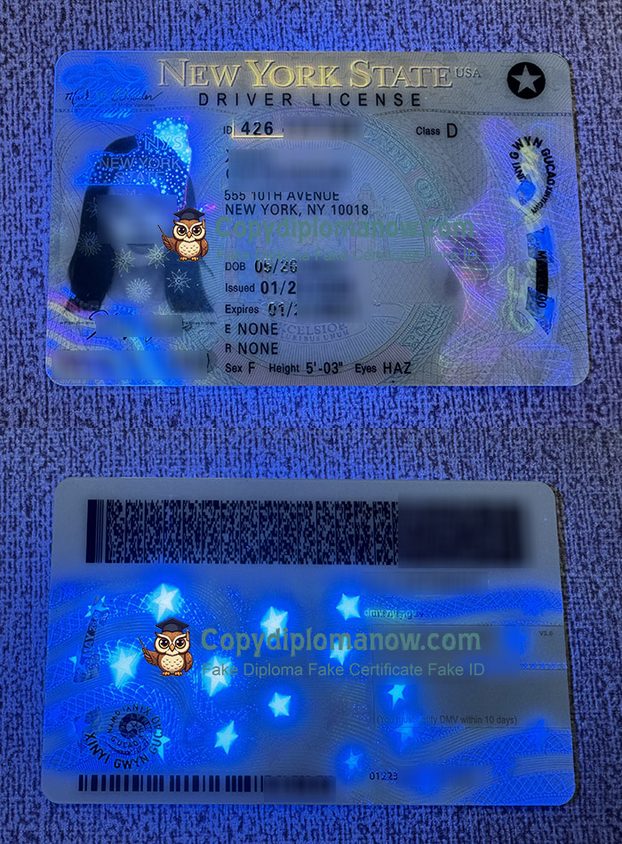 New York State ID, New York State Driver license