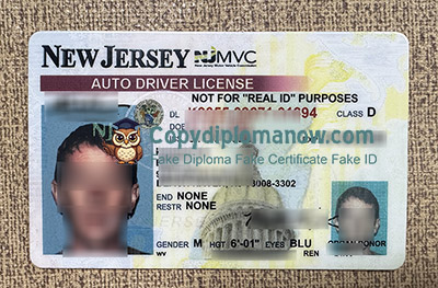 New Jersey Driver's Licence