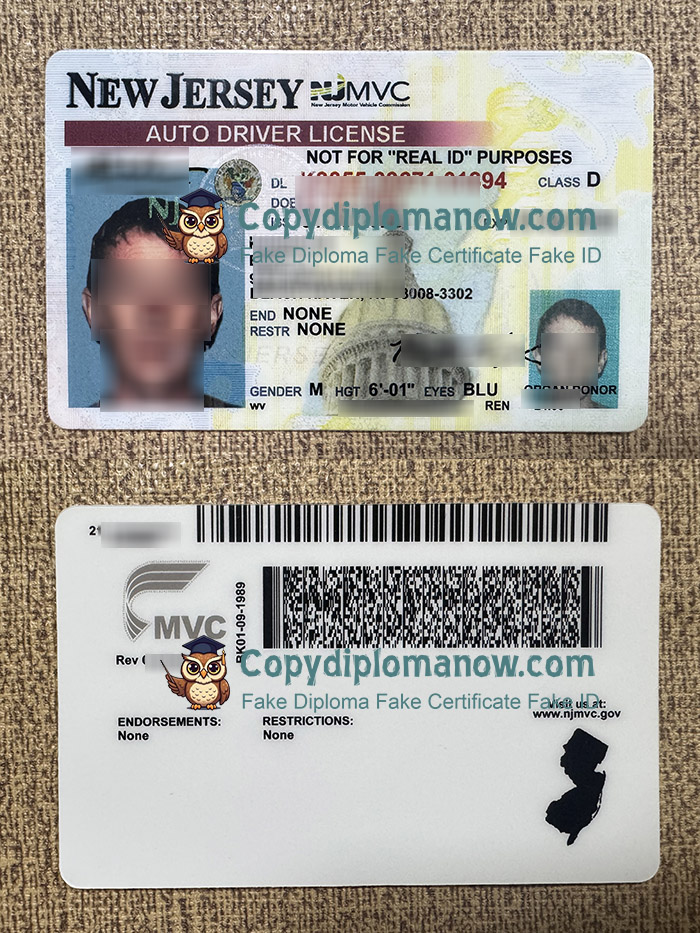 New Jersey Driver's Licence, New Jersey ID