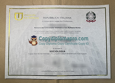 Università San Raffaele Diploma