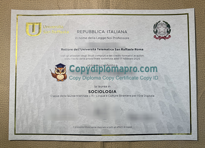 Università San Raffaele Diploma