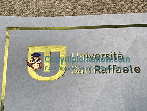 Università San Raffaele Diploma seal