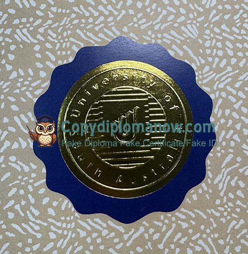 UniSA Diploma seal